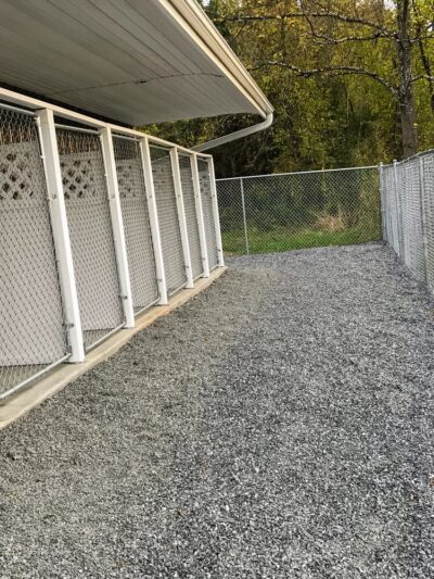 Mountain View Dog Retreat - Leicester, NC