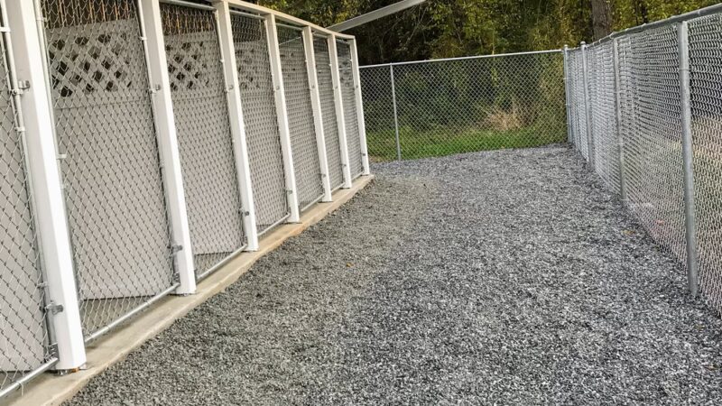 Mountain View Dog Retreat - Leicester, NC