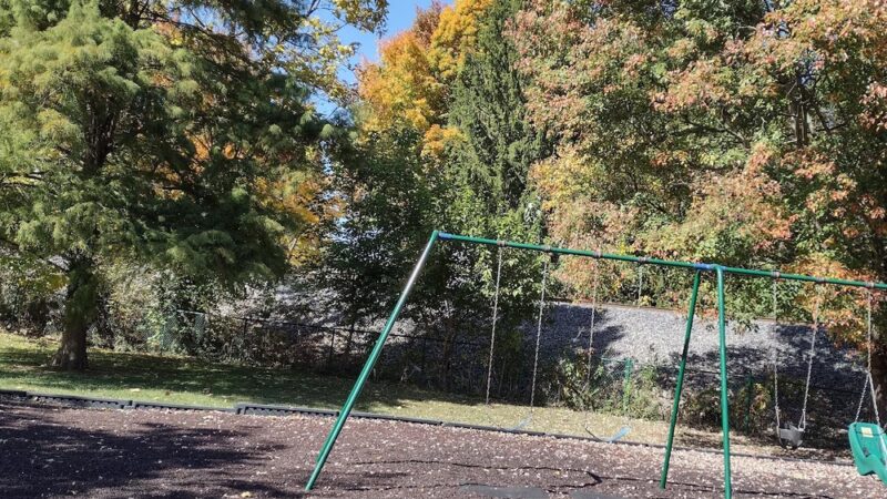 Dewitt Park - Leitchfield, KY