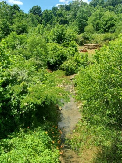 Taylor Fork Walking Trails, Amphitheatre , Skate Park , Basketball Court And Park - Leitchfield, KY