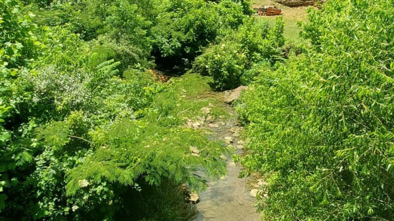Taylor Fork Walking Trails, Amphitheatre , Skate Park , Basketball Court And Park - Leitchfield, KY