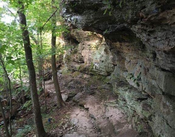 Taylor Fork Walking Trails, Amphitheatre , Skate Park , Basketball Court And Park - Leitchfield, KY