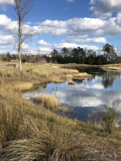 Meadow Park - Leland, NC