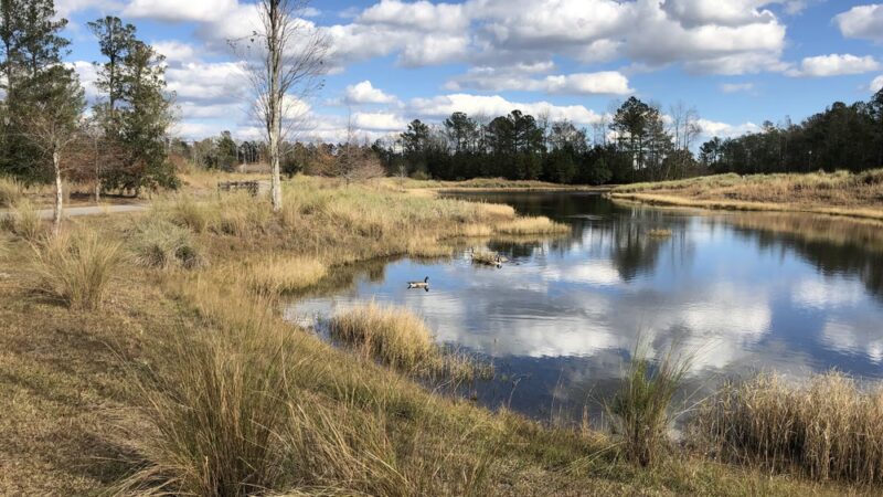 Meadow Park - Leland, NC