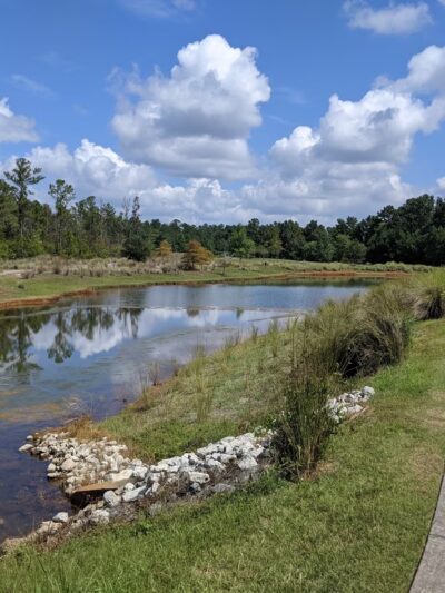 Meadow Park - Leland, NC