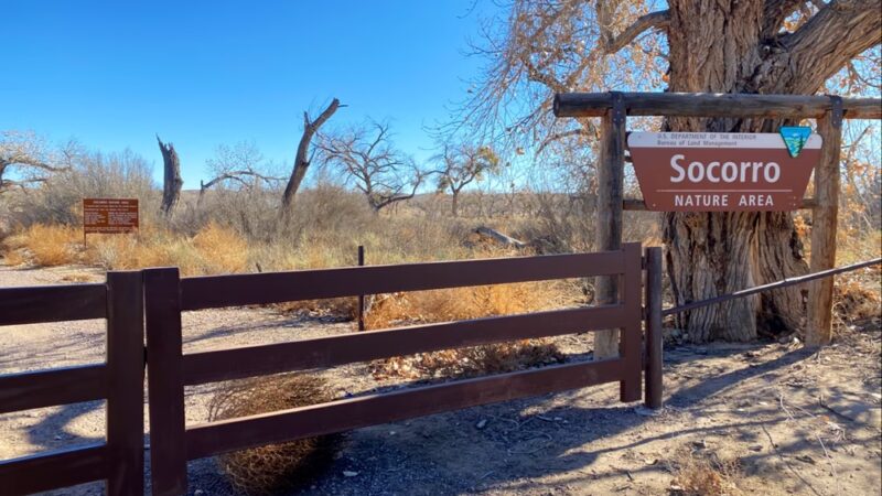 Socorro Nature Area - Lemitar, NM