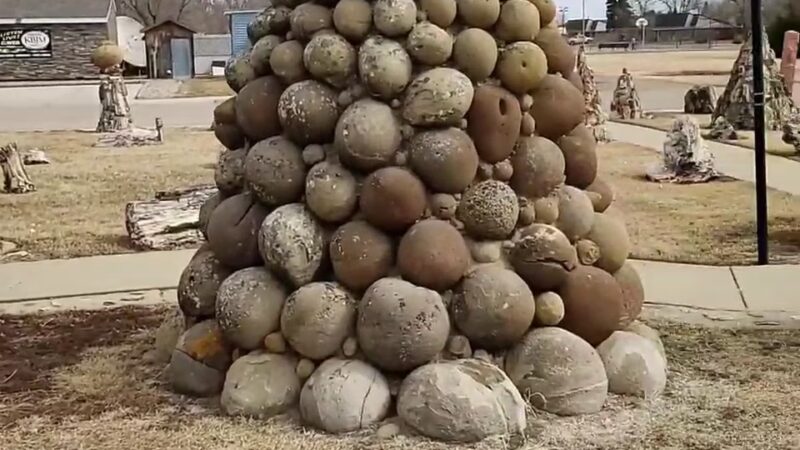 Petrified Wood Park & Museum - Lemmon, SD
