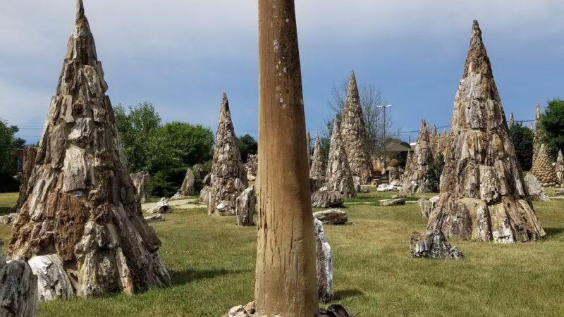 Petrified Wood Park & Museum - Lemmon, SD