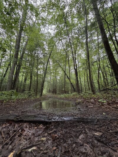 Mount Nittany Trailhead - Lemont, PA
