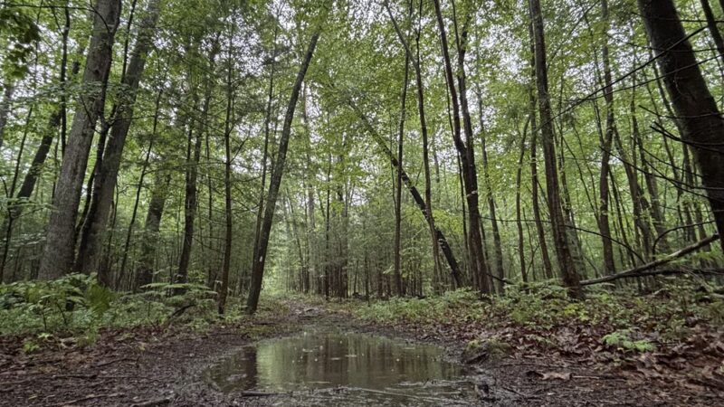 Mount Nittany Trailhead - Lemont, PA