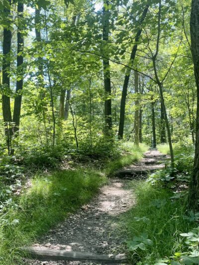 Mount Nittany Trailhead - Lemont, PA