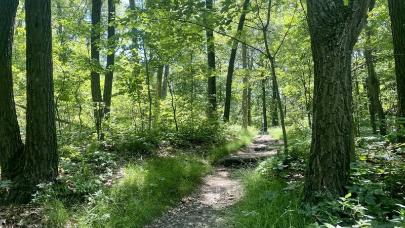 Mount Nittany Trailhead - Lemont, PA
