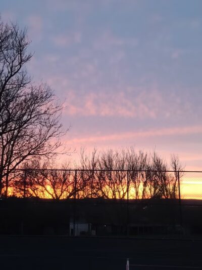 Nittany Orchard Park - Lemont, PA