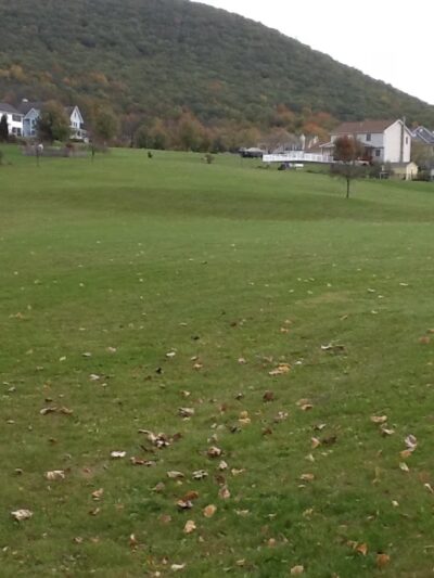 Nittany Orchard Park - Lemont, PA