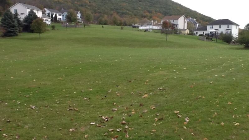 Nittany Orchard Park - Lemont, PA