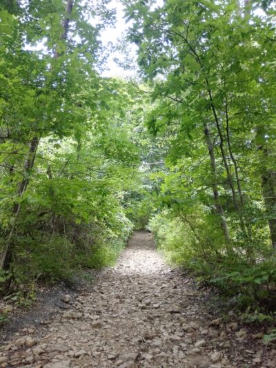 Nittany Orchard Park - Lemont, PA