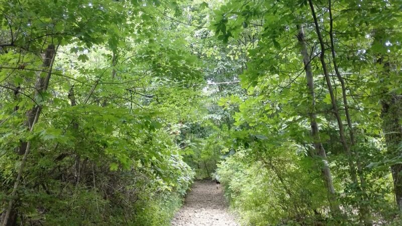 Nittany Orchard Park - Lemont, PA