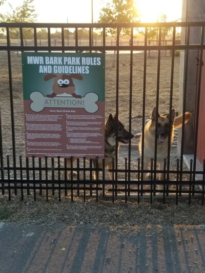 MWR Bark Park - Lemoore, CA