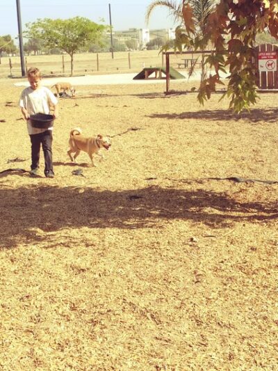 MWR Bark Park - Lemoore, CA