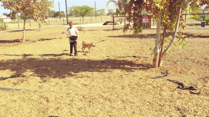 MWR Bark Park - Lemoore, CA