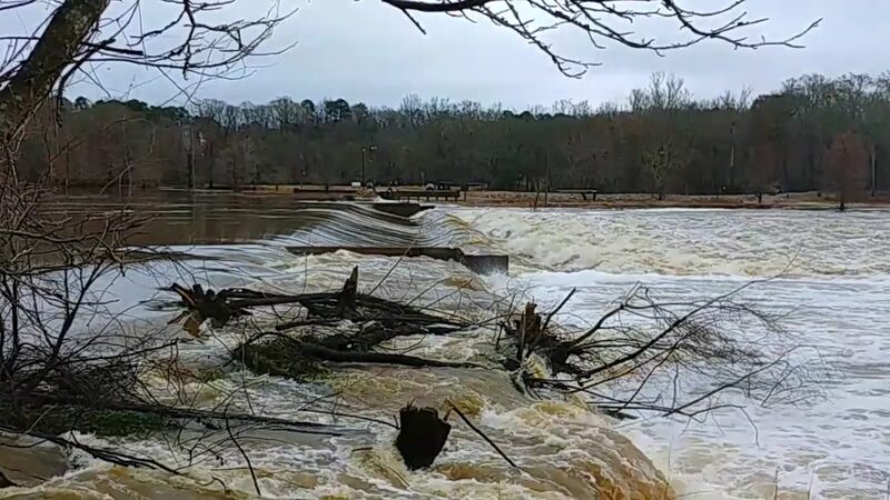 Low Head Dam - Lena, MS