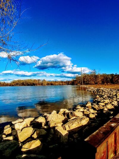 Low Head Dam - Lena, MS