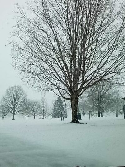 Leola Community Pool and Park - Leola, PA