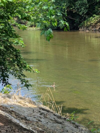West Earl Community Park - Leola, PA