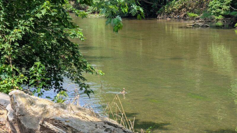 West Earl Community Park - Leola, PA