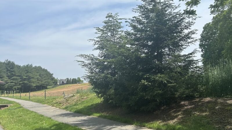 West Earl Community Park - Leola, PA