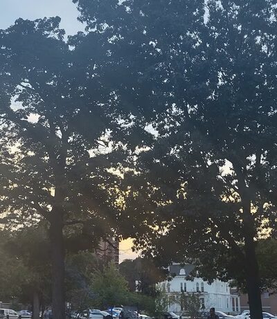 Carter Park - Leominster, MA