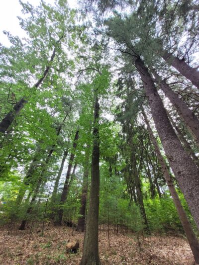 Doyle Community Park and Center - Leominster, MA