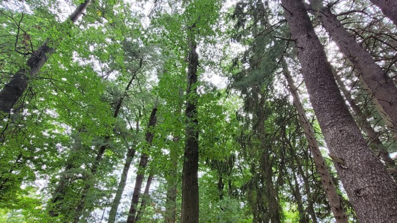 Doyle Community Park and Center - Leominster, MA