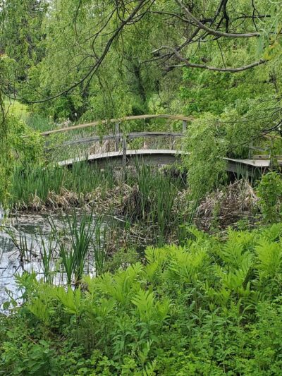 Doyle Community Park and Center - Leominster, MA