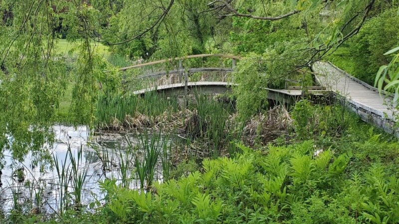 Doyle Community Park and Center - Leominster, MA