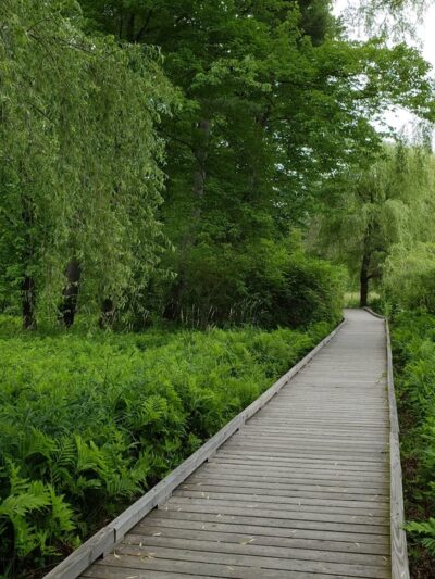 Doyle Conservation Area - Leominster, MA