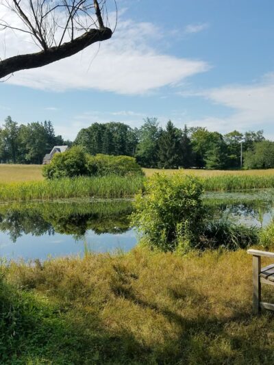 Doyle Conservation Area - Leominster, MA
