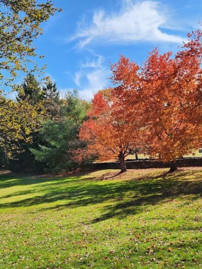 Doyle Conservation Area - Leominster, MA