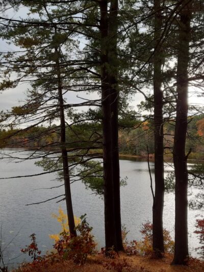 Leominster’s Trails - Leominster, MA