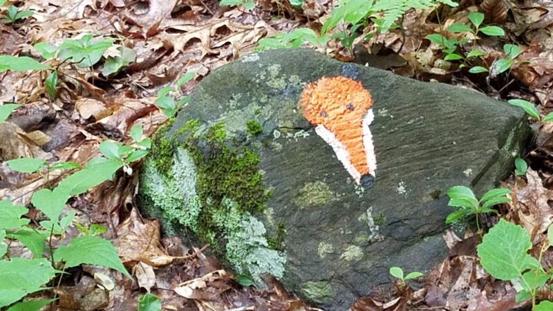 Leominster’s Trails - Leominster, MA