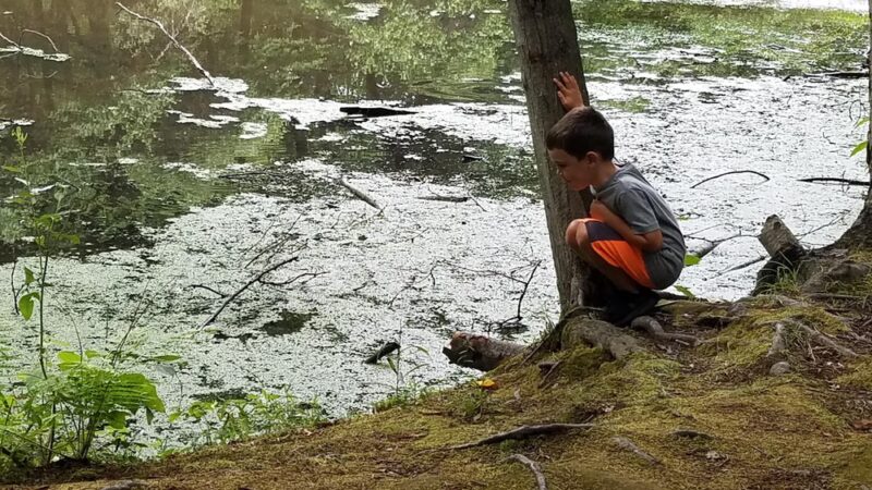 Leominster’s Trails - Leominster, MA