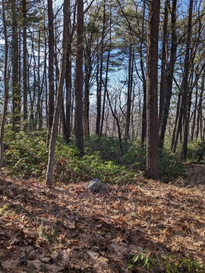 Leominster Trails - Leominster, MA