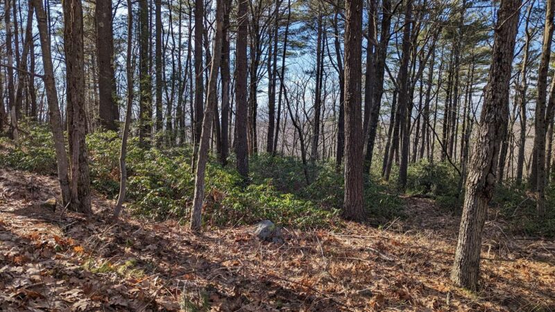 Leominster Trails - Leominster, MA