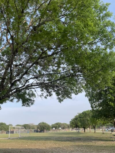 Raymond Rimkus Park - Leon Valley, TX