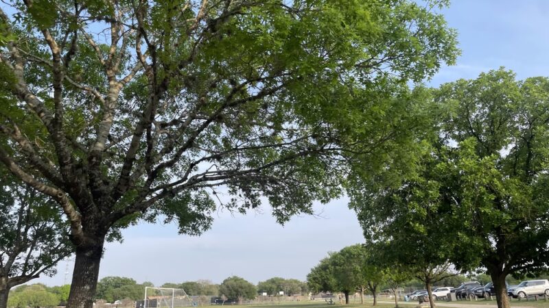 Raymond Rimkus Park - Leon Valley, TX