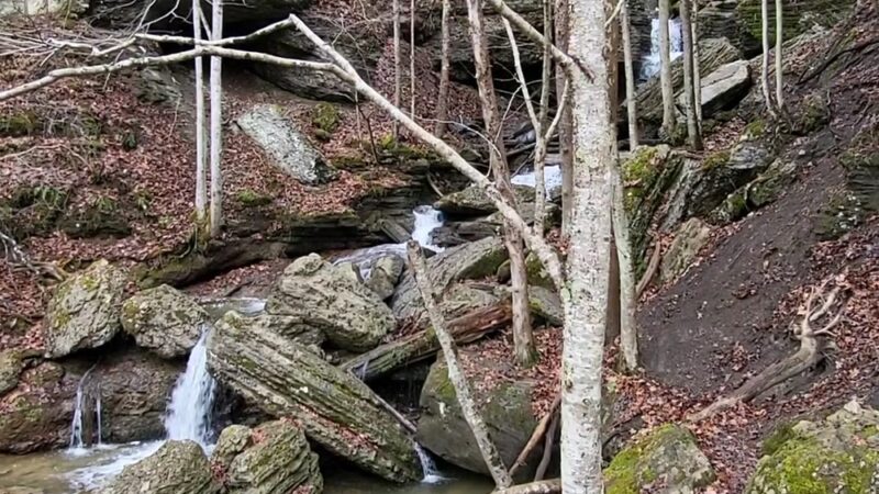 White Oak Creek Falls - Lerona, WV