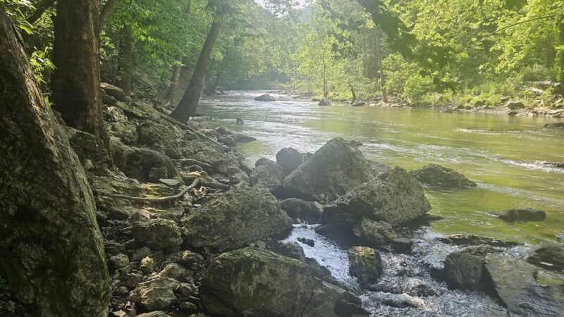 White Oak Creek Falls - Lerona, WV