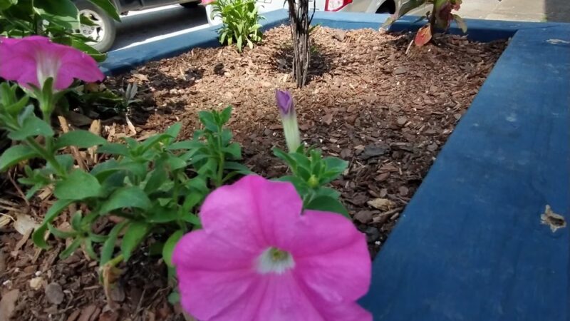 Leslie City Park - Leslie, AR