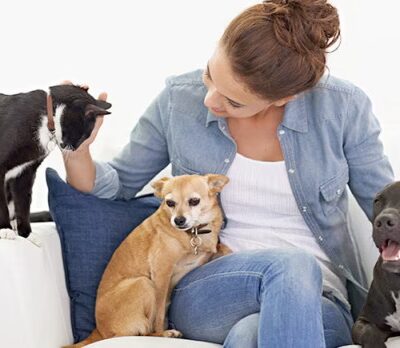 Leslie's Leashes - ,