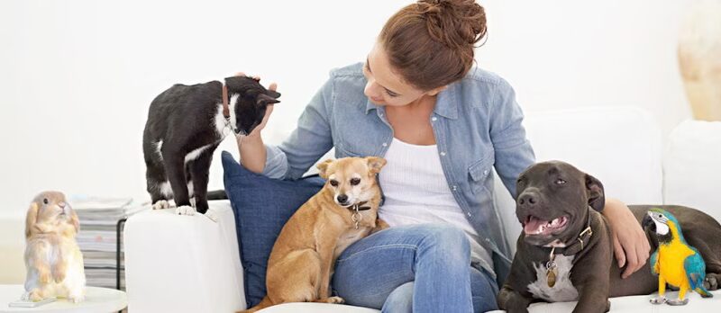 Leslie's Leashes - ,